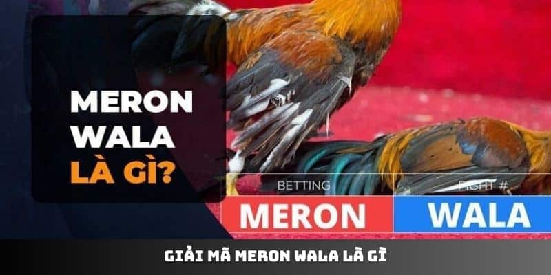 Giải mã meron wala là gì