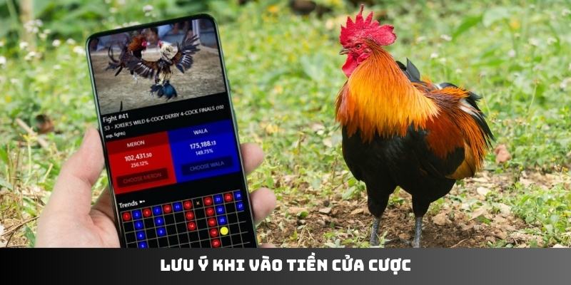 Lưu ý khi vào tiền cửa cược